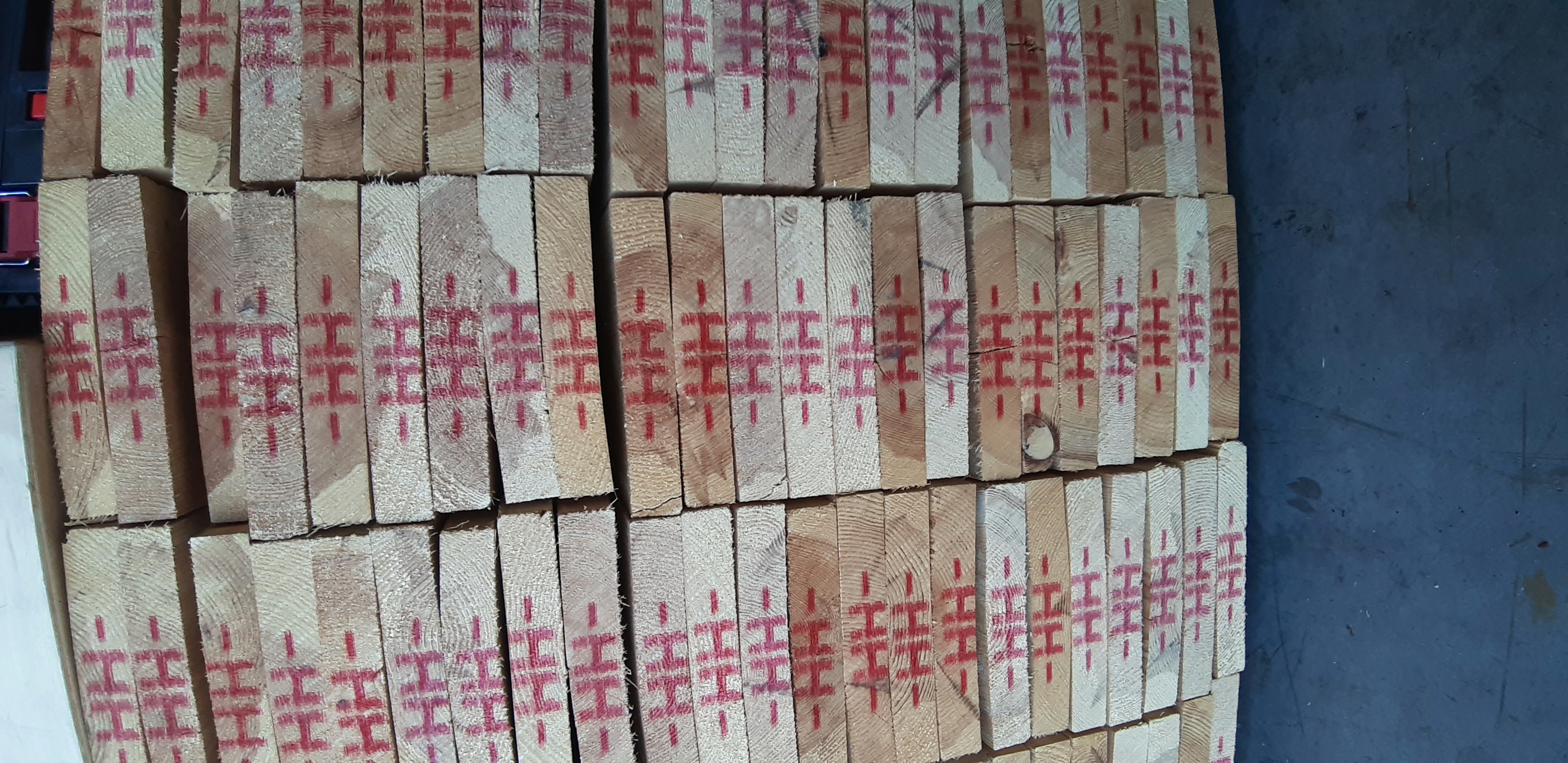 Nordische Kiefer Lager