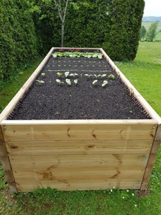 Hochbeet Vorne