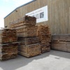 Eiche windtrocken